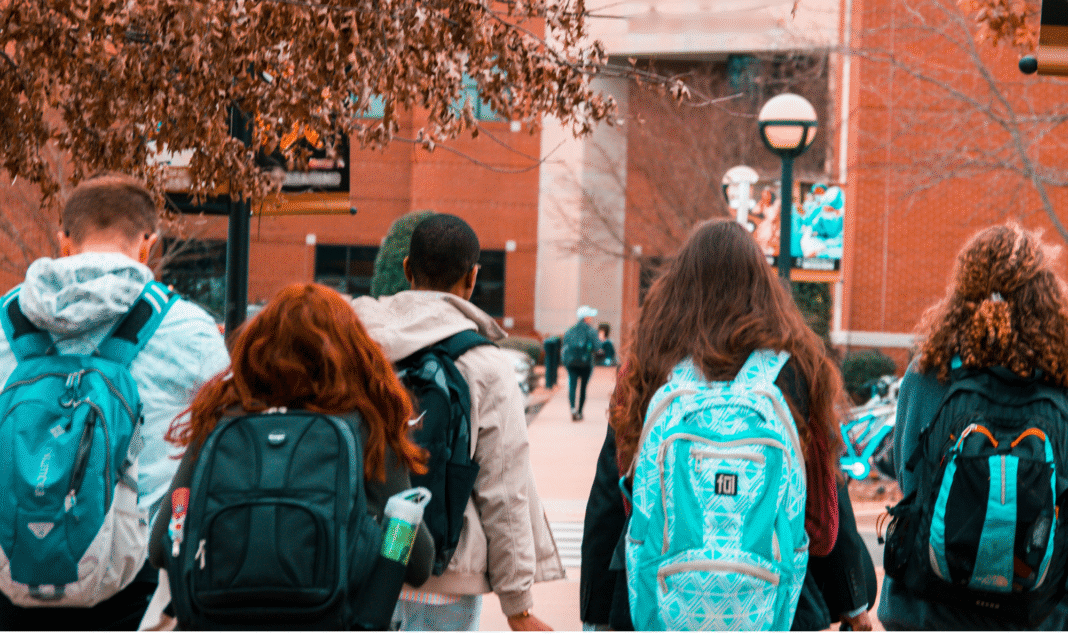 Team of Travel – Learning Through Journeys in Tasmania