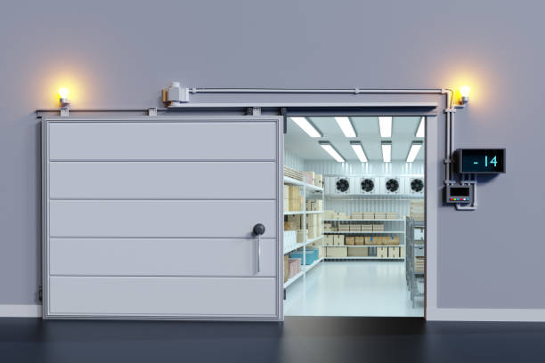 Choosing the Right Commercial Freezer: A Guide for Restaurants and Meat Shops